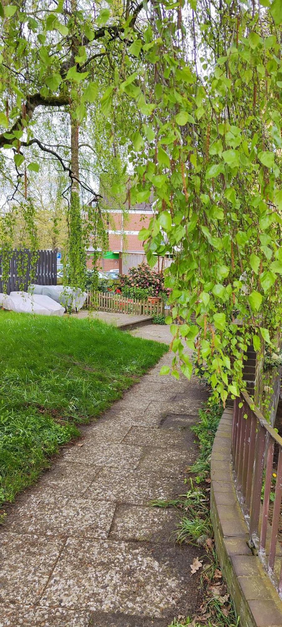 Ferienwohnung Im Herzen Der Lueneburger Heide Soltau Exterior foto